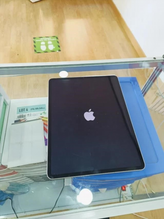 iPad Pro 12.9 5ª Gen 256GB Plata