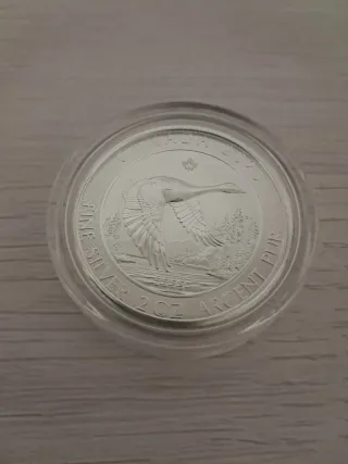 Moneda Plata Pura Canadá 2 oz 2025 Ganso