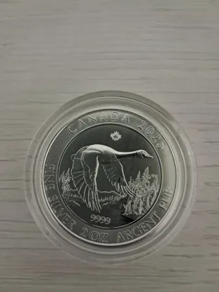 Moneda Plata Pura Canadá 2 oz 2025 Ganso
