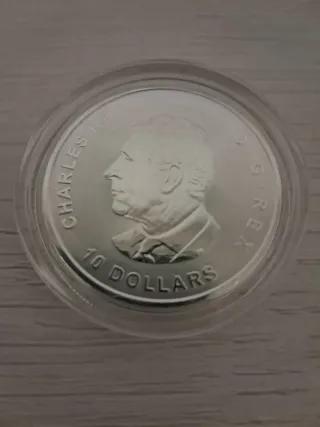 Moneda Plata Pura Canadá 2 oz 2025 Ganso