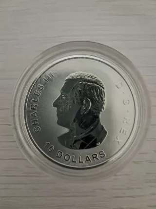 Moneda Plata Pura Canadá 2 oz 2025 Ganso