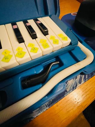 Melódica Hohner Student 32 Caja Azul