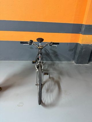 Bicicleta de paseo Boomerang CYBER