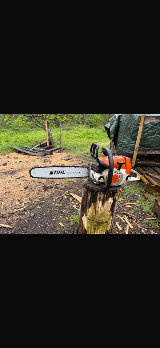 Motosierra Stihl MS260