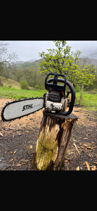 Motosierra Stihl MS260