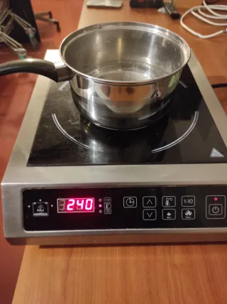 Placa Inducción Profesional Portátil 3500W, horeca