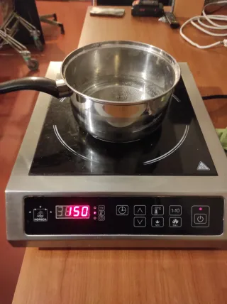 Placa Inducción Profesional Portátil 3500W, horeca