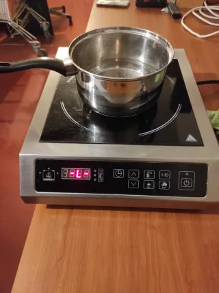 Placa Inducción Profesional Portátil 3500W, horeca