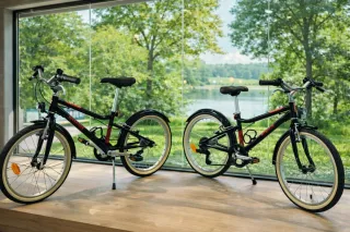 Bicicleta Infantil 20 Negra.