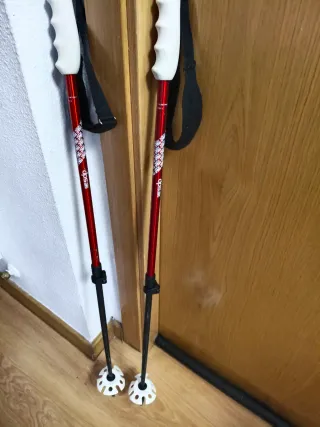 Esquís Freeride DPS Wailer112rpc