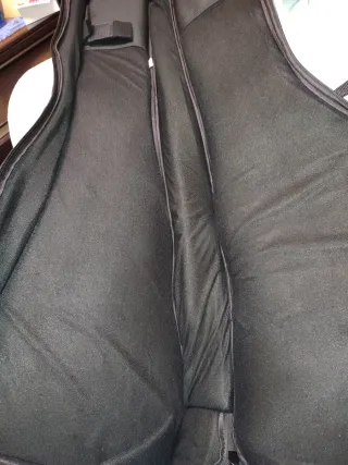 Guitarra Acústica PRS ES P20E Parlour VM