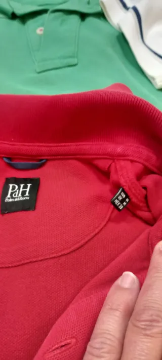 Lote Ropa Polo y Bermudas