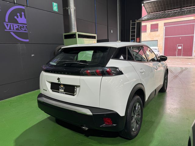 PEUGEOT 2008 Active Pack BlueHDI 110cv