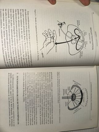 Libro Cerebro y conciencia