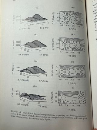 Libro Cerebro y conciencia