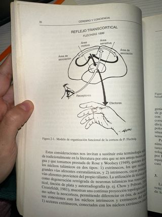 Libro Cerebro y conciencia