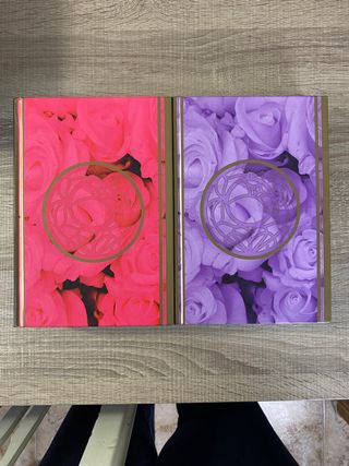 Utena, la chica revolucionaria. Integral