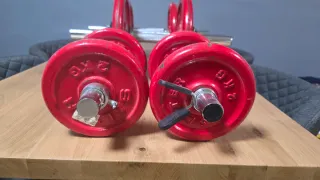 Juego de Mancuernas Salter Rojas