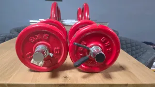 Juego de Mancuernas Salter Rojas