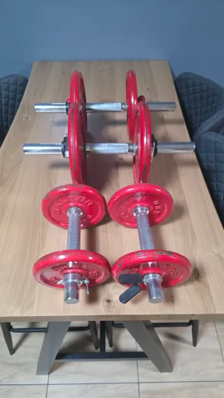 Juego de Mancuernas Salter Rojas