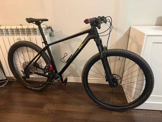 Bici MTB ICE MT10 29 Carbono