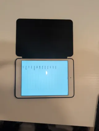 iPad Mini 1 con funda