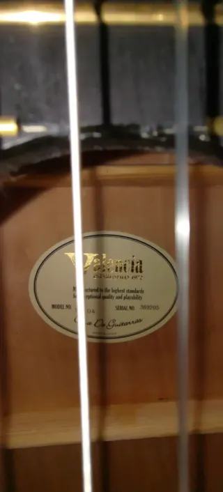 Guitarra Española Valencia VC104 más funda