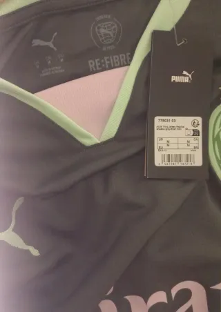 Camiseta AC Milan Puma Verde 2024/2025