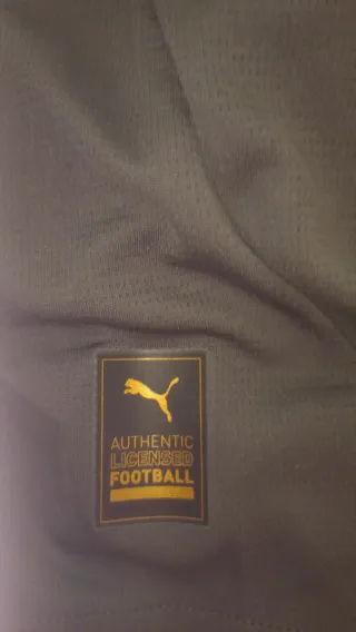 Camiseta AC Milan Puma Verde 2024/2025