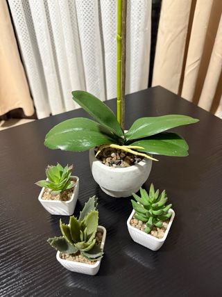 Plantas Artificiales Decorativas