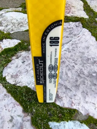 Esquís Salomon Prorace Visu + Bastones