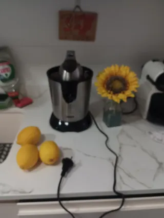 Exprimidor de acero inoxidable