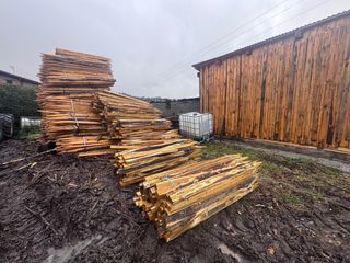 Estacas de Acacia de 2 metros