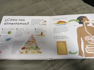 El cuerpo humano