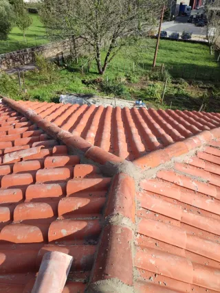 Reformas Integrales y Presupuesto