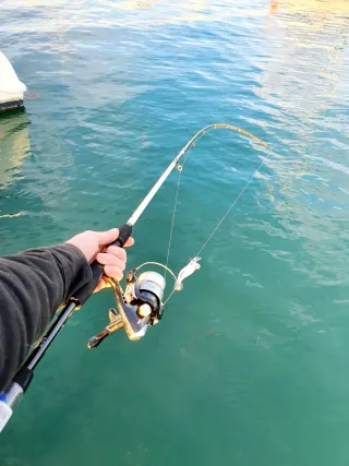 Equipo Eging, Pesca Calamar, Equipo Embarcación