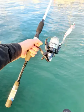 Equipo Eging, Pesca Calamar, Equipo Embarcación