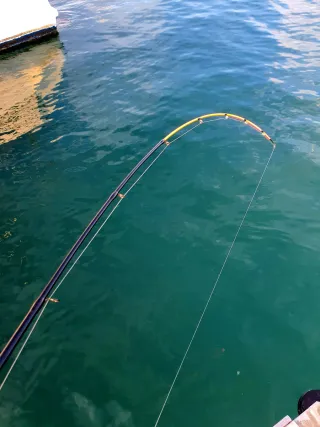 Equipo Eging, Pesca Calamar, Equipo Embarcación