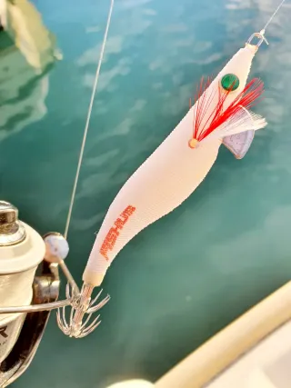 Equipo Eging, Pesca Calamar, Equipo Embarcación