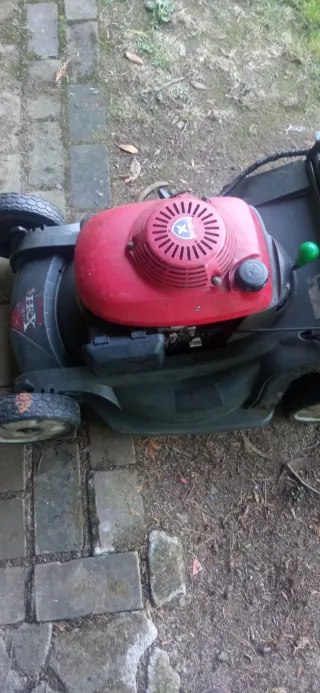 Cortacésped Honda HRX 537.