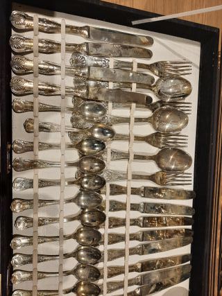 Posate Bagnate in Argento - Mai Usate