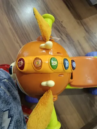 Correpasillos cervatillo