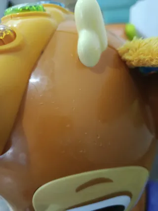 Correpasillos cervatillo