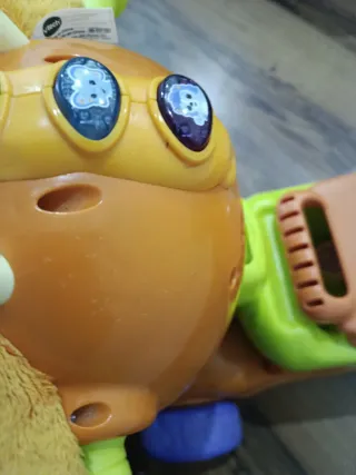 Correpasillos cervatillo