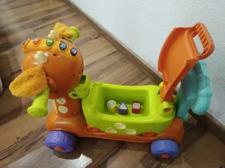 Correpasillos cervatillo