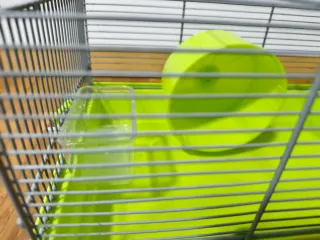 Jaula Hámster con ruedas y comedero