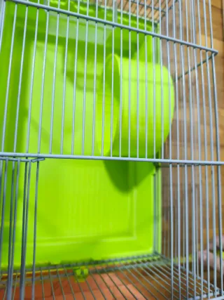 Jaula Hámster con ruedas y comedero