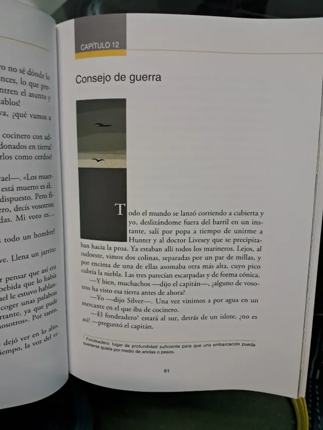 La isla del tesoro (Clasicos a Medida) (Spanish...