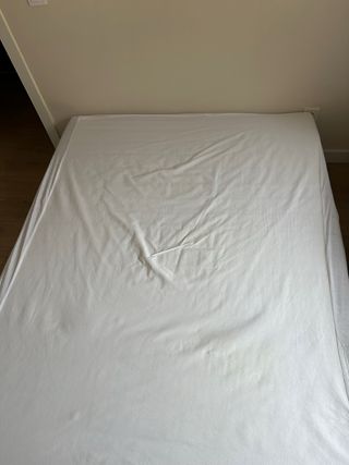 Divano letto IKEA LYCKSELE LÖVÅS 2 posti Grigio