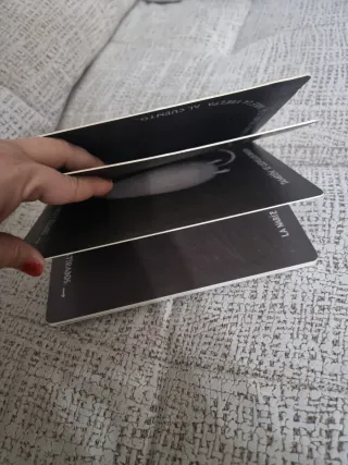 Un bicho extraño (Spanish Edition)